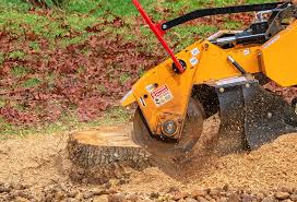 How Our Tree Care Process Works  in  Dupont, PA