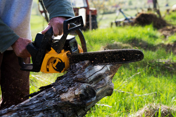 Best Hazardous Tree Removal  in Dupont, PA